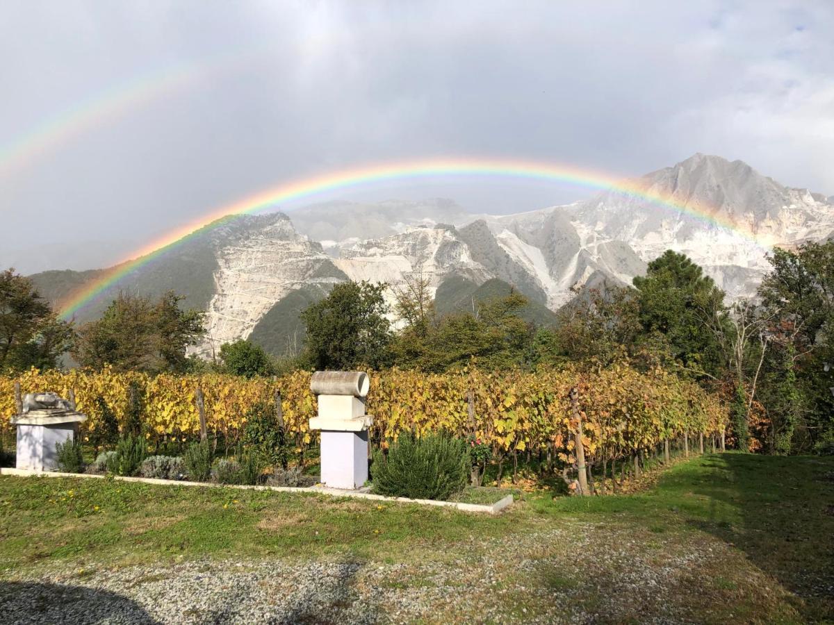 Bed and Breakfast Galleria Ars Apua Carrara Exterior foto