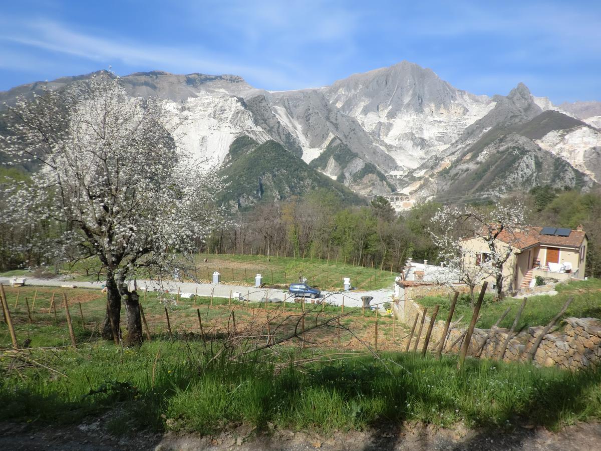 Bed and Breakfast Galleria Ars Apua Carrara Exterior foto