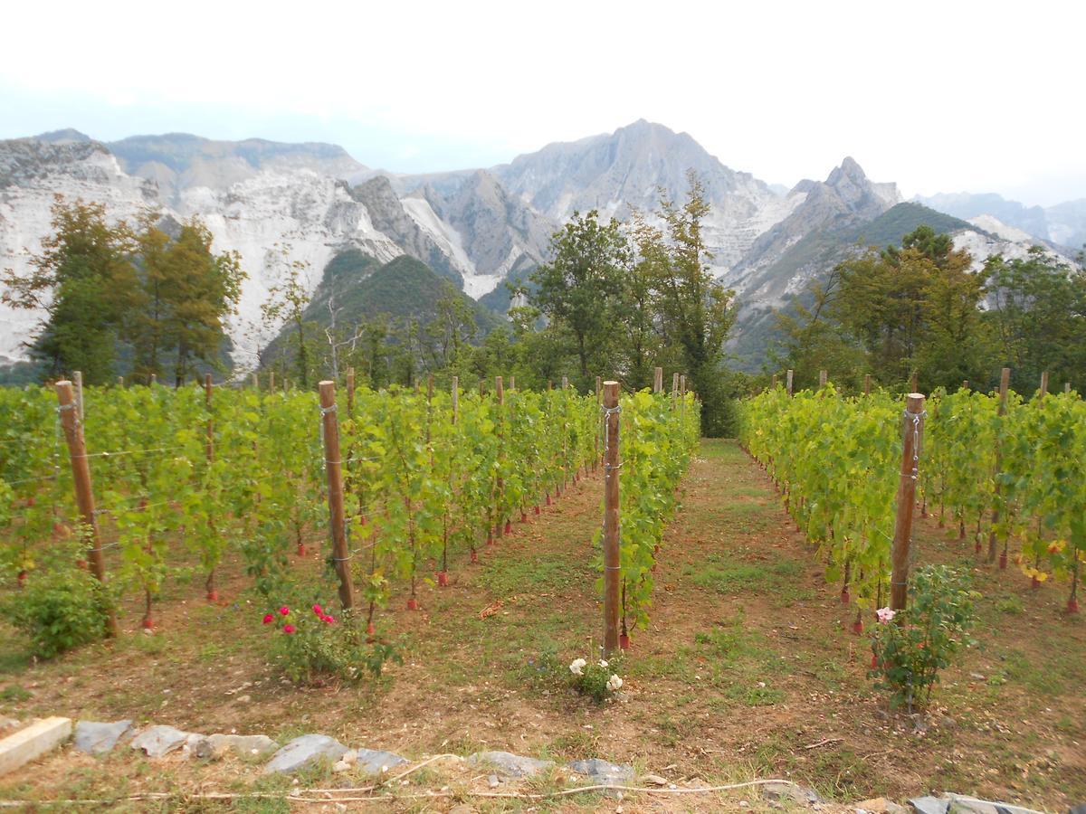 Bed and Breakfast Galleria Ars Apua Carrara Exterior foto